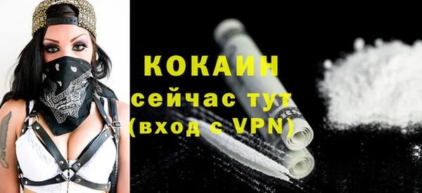 шишки Вяземский